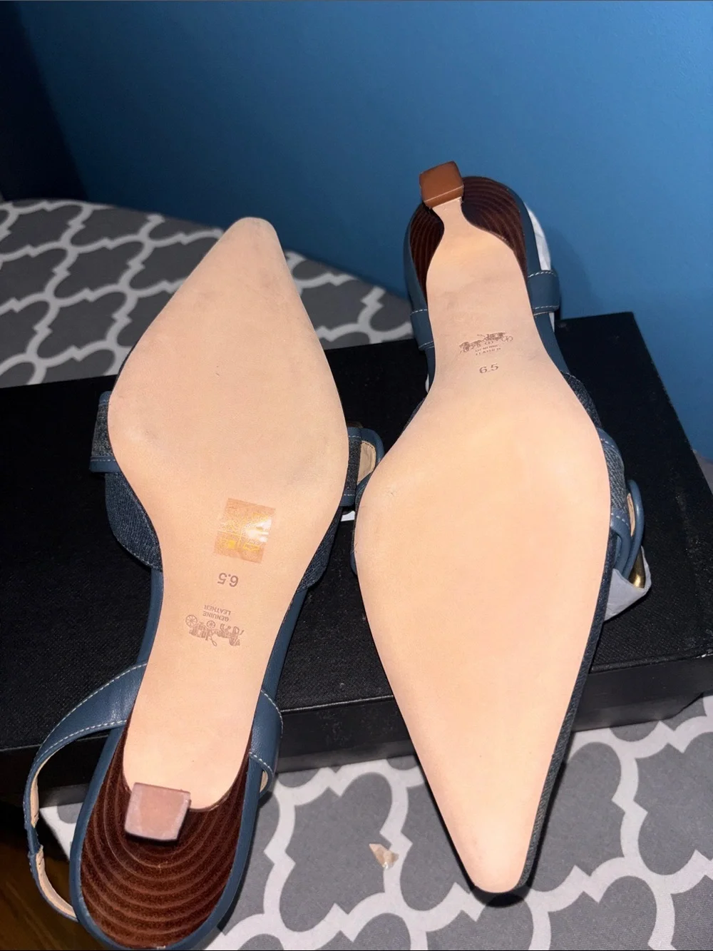 Coach chic pointed